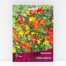 Крокосмия смесь окрасок, 10 шт., р-р 6/7