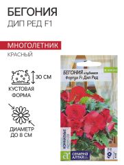 Семена комнатных цветов Бегония 