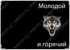 волк