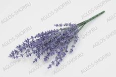 Куст лаванда 