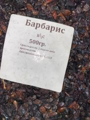 Барбарис