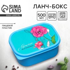 5198217 Ланч-бокс прямоугольный FoodVibes «Яркого настроения», 500 мл