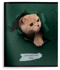 Тетрадь 48 л.Английский язык А5 клетка,ЛЮБОПЫТНЫЙ КОТИК Schoolformat