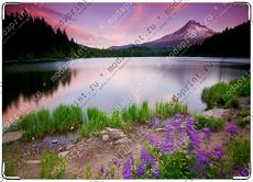 Природа