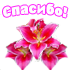 Спасибо 3186